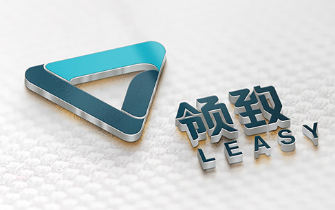 领致科技公司Logo设计、宣传物料设计